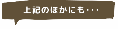 上記のほかにも･･･